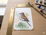 Chipping Sparrow