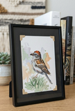 Chipping Sparrow