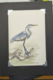 Heron