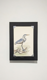 Heron