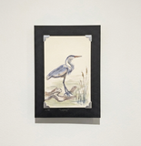 Heron