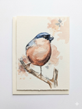 Eurasian Bullfinch